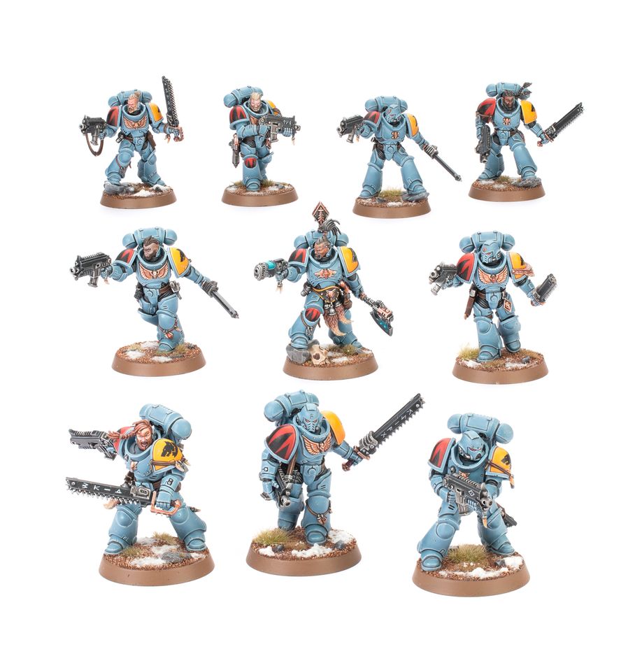 Graumähnen (Neutral Verpackt) Graumähnen (Neutral Verpackt)